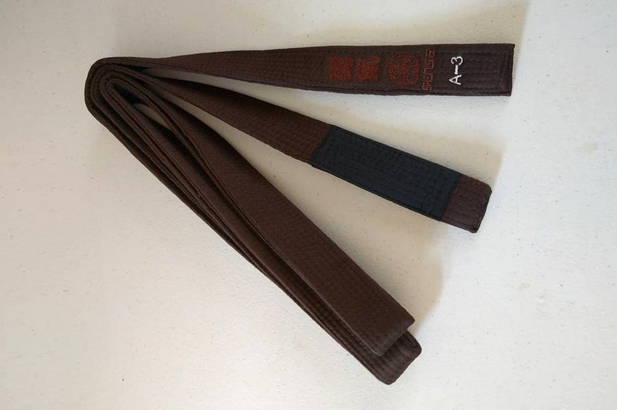 Sensō Jiu Jitsu:Brown Belt