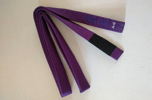 Sensō Jiu Jitsu:Purple Belt